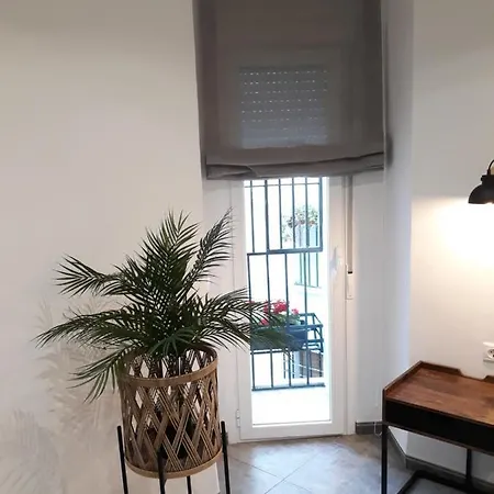 Pleno Centro Wallada Apartment *