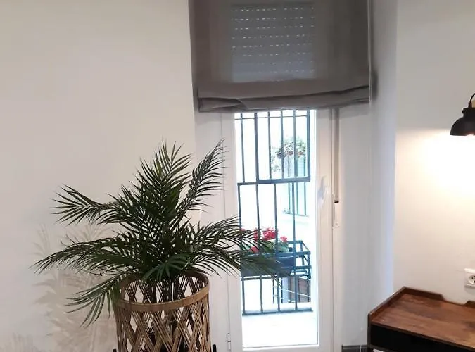 Pleno Centro Wallada Apartman *