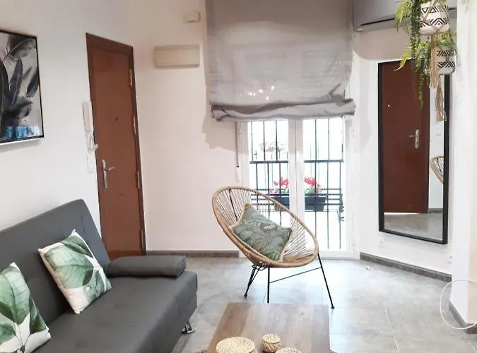 Pleno Centro Wallada Lägenhet *