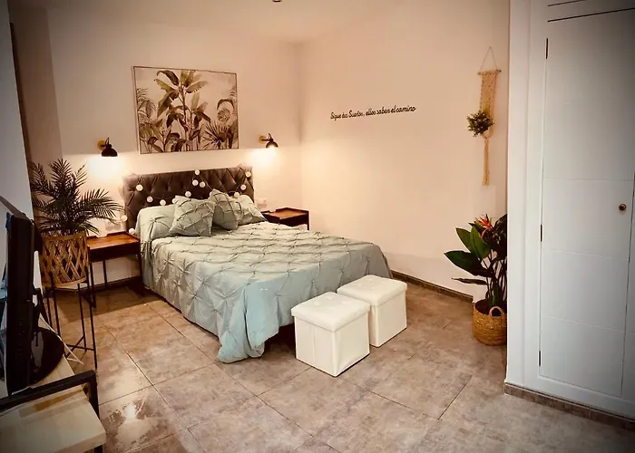 Pleno Centro Wallada