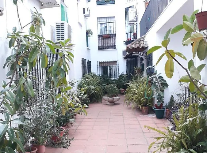 Pleno Centro Wallada