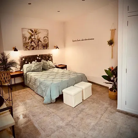 Pleno Centro Wallada